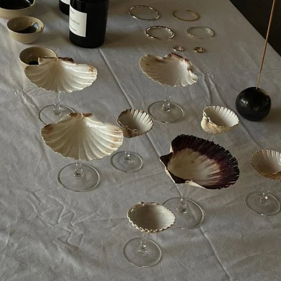 Shell-shaped glasses and bottles on a textured surface