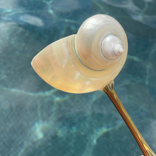 Handmade Natural Shell Metal Base Wine Glasses