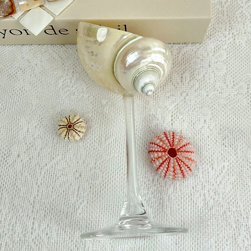 Handmade Natural Shell Transparent Base Wine Glasses