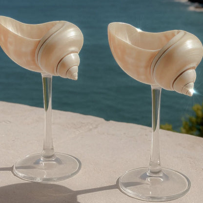Handmade Natural Shell Transparent Base Wine Glasses