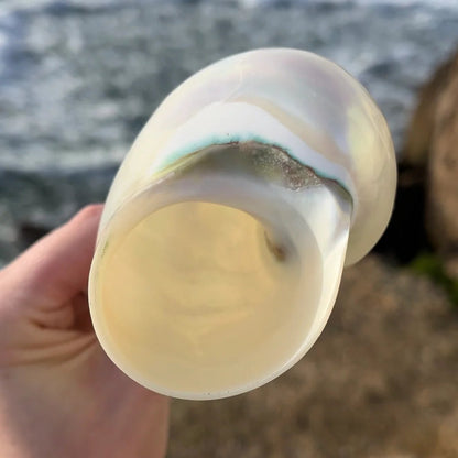 Handmade Natural Shell Transparent Base Wine Glasses
