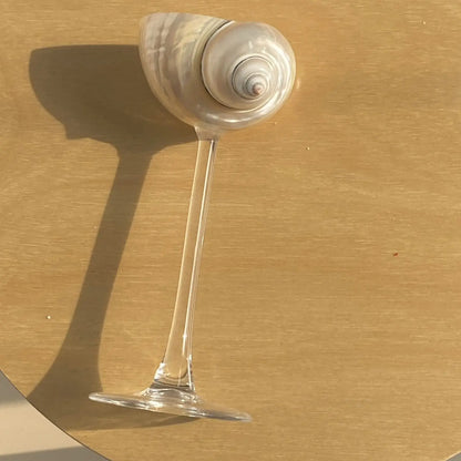 Handmade Natural Shell Transparent Base Wine Glasses