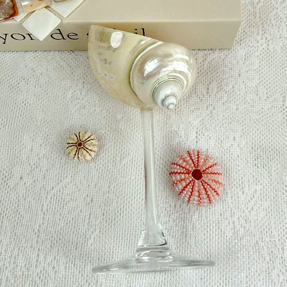 Handmade Natural Shell Transparent Base Wine Glasses