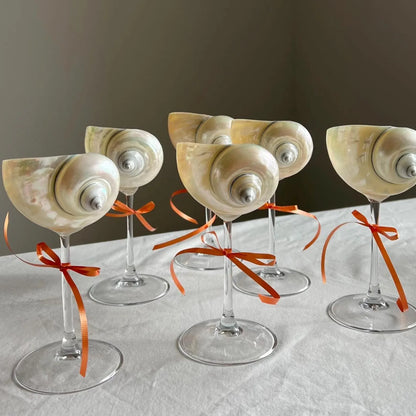 Handmade Natural Shell Transparent Base Wine Glasses